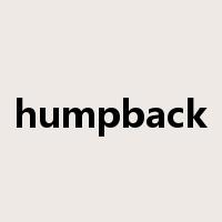 humpback是什么意思