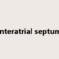 interatrial septum是什么意思