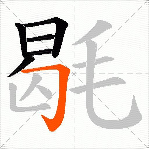 毼