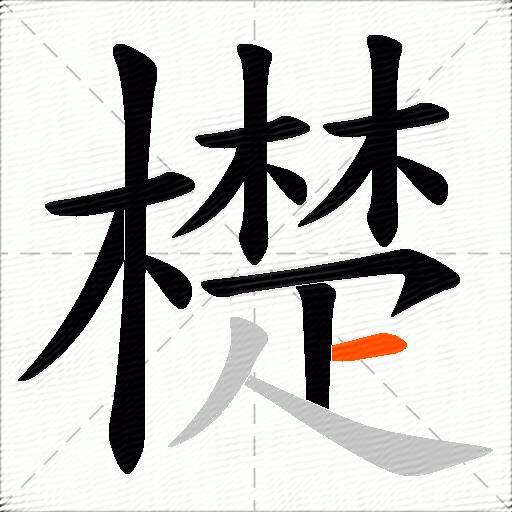 檚