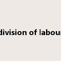 division of labour是什么意思