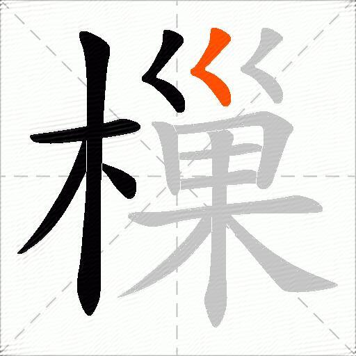 樔