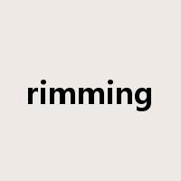 rimming是什么意思