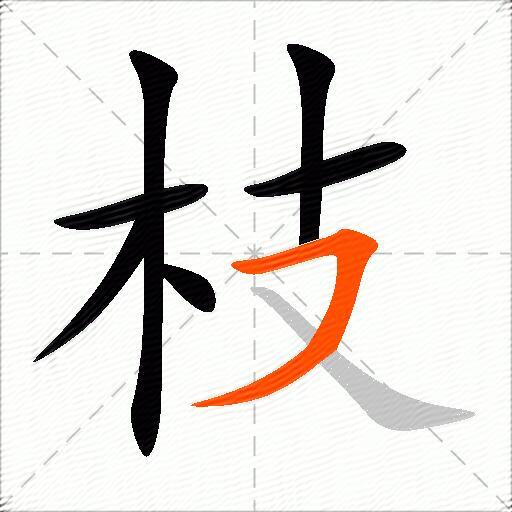 枝