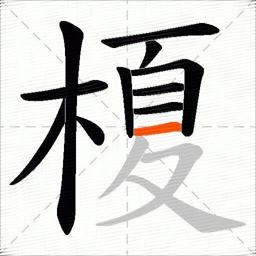 榎