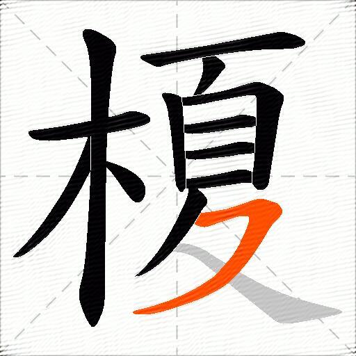 榎