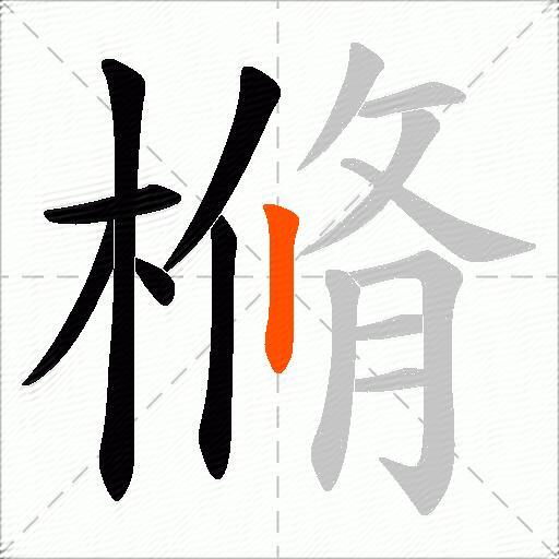樇