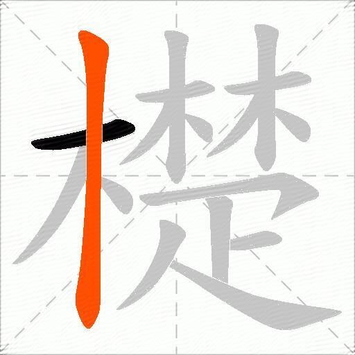 檚