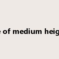 be of medium height是什么意思