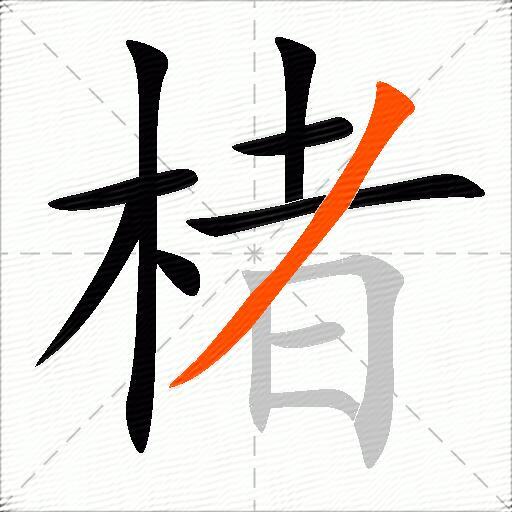 楮