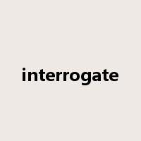 interrogate是什么意思