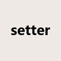 setter是什么意思