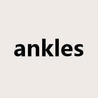 ankles是什么意思