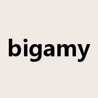 bigamy是什么意思