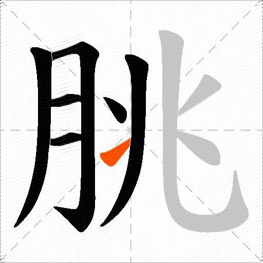 朓