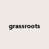 grassroots是什么意思