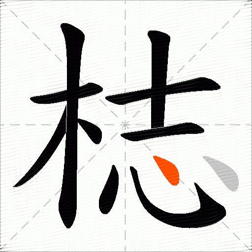 梽