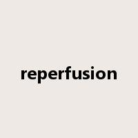 reperfusion是什么意思