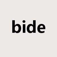 bide是什么意思