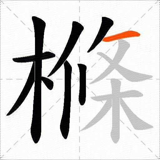 樤