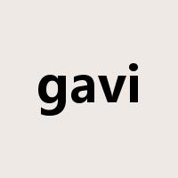 gavi是什么意思