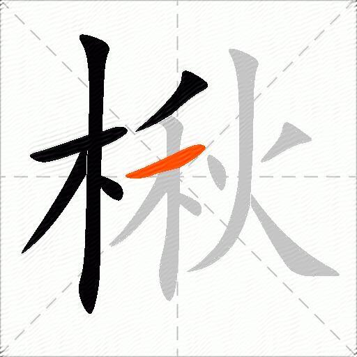 楸