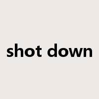 shot down是什么意思