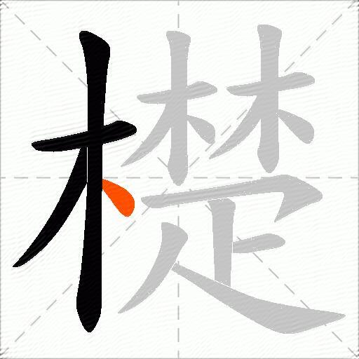 檚