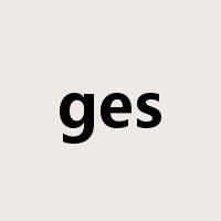 ges是什么意思