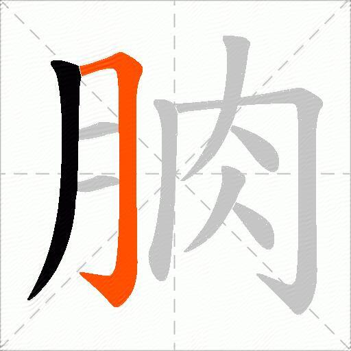 朒