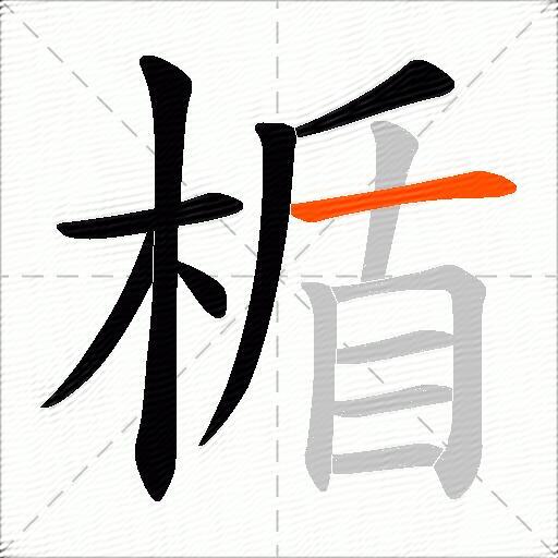 楯