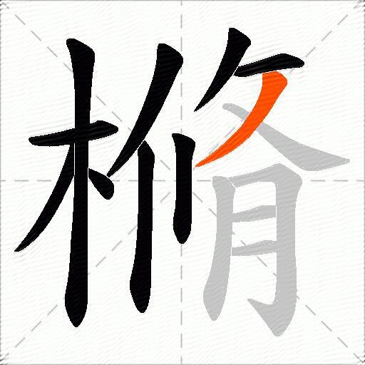 樇