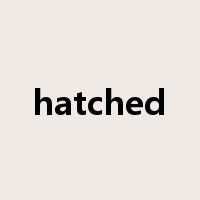 hatched是什么意思
