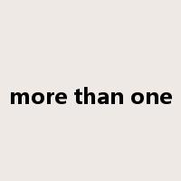 more than one是什么意思
