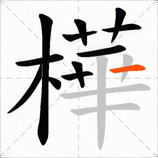 樺