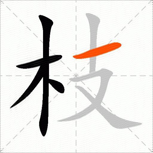 枝