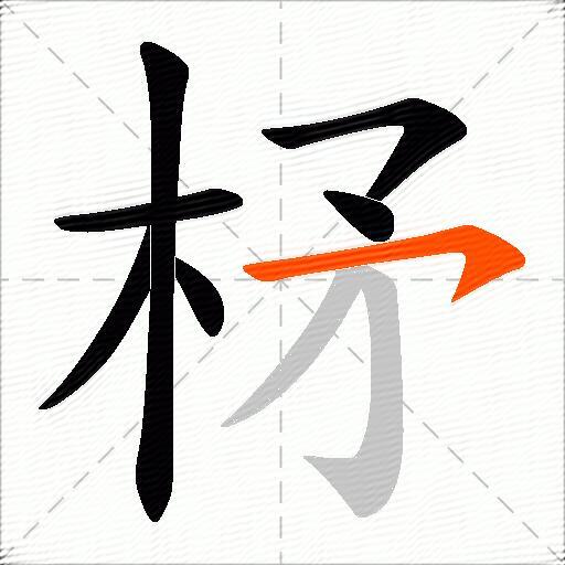 柕