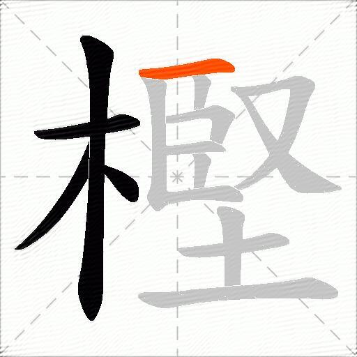 樫