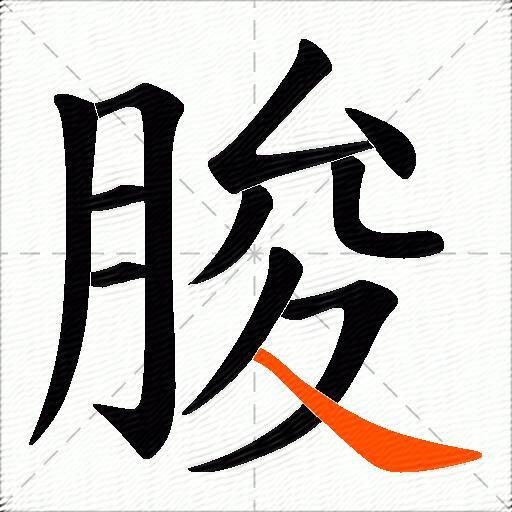 朘