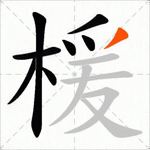 楥
