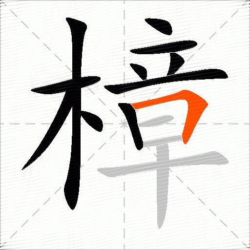 樟