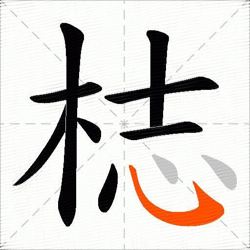 梽