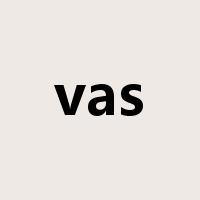 vas是什么意思
