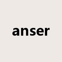 anser是什么意思