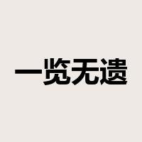 一览无遗是什么意思