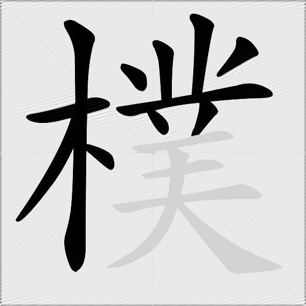 樸