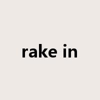 rake in是什么意思