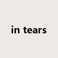 in tears是什么意思