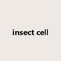 insect cell是什么意思