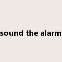 sound the alarm是什么意思